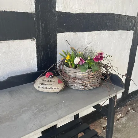 Bed and Breakfast Baekgaarden 3 - Old Οντένσε