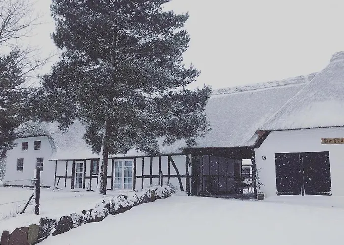 Bed and breakfast Baekgaarden 3 - Old